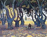Paul Signac plane trees place des lices oil painting